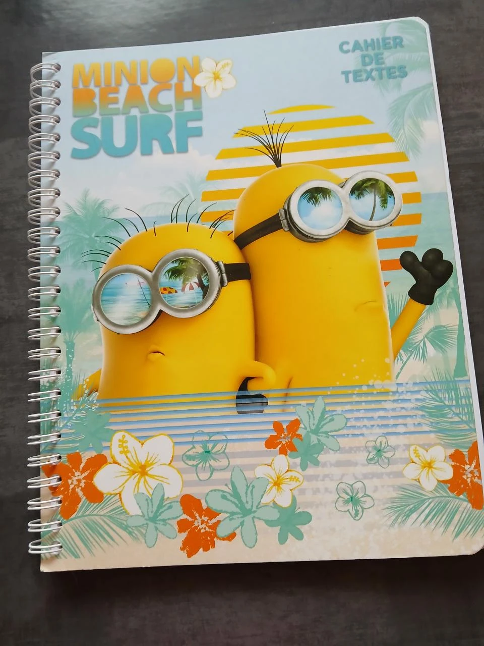 cahier de texte les minions
